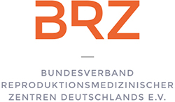 BRZ Logo